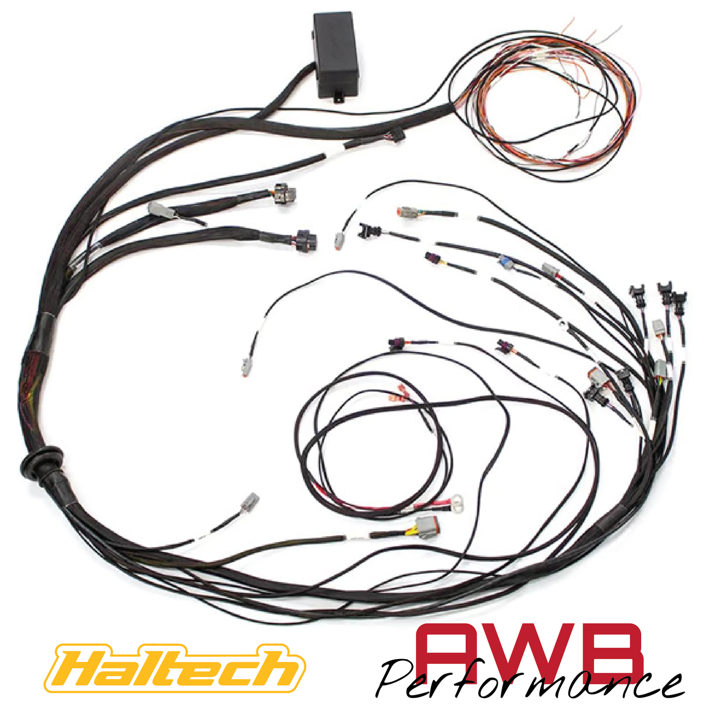 Haltech Elite 1500 Mazda 13B S6-8 CAS with Flying Lead Ignition Terminated Harness - HT-140879
