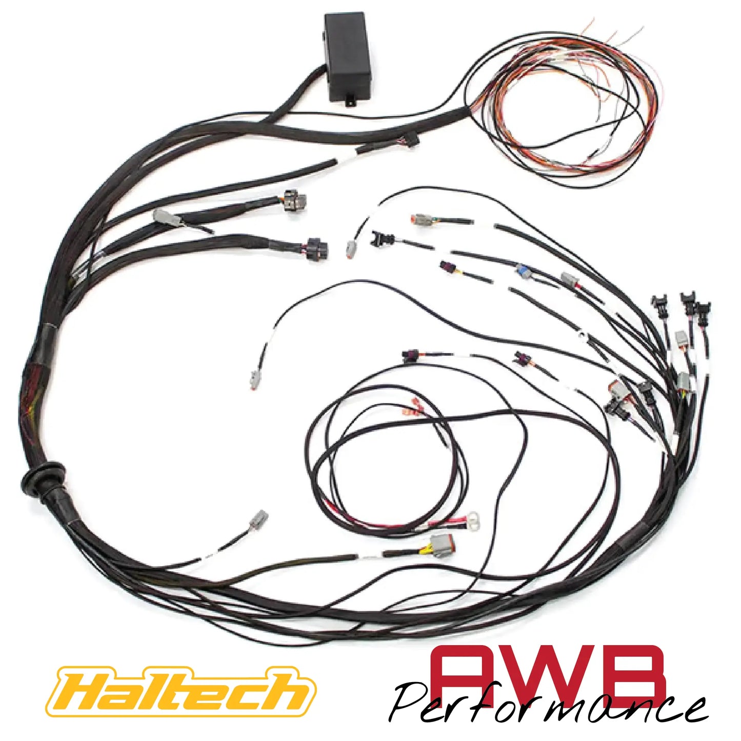 Haltech Elite 1500 Mazda 13B S6-8 CAS with Flying Lead Ignition Terminated Harness - HT-140879 Haltech