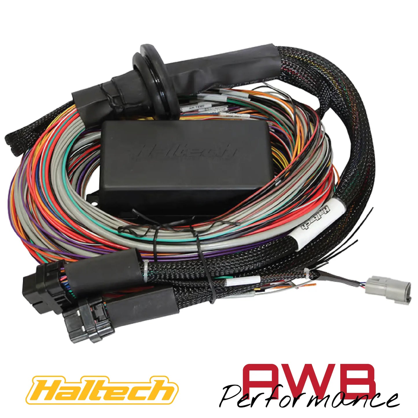 Haltech Elite 2500 & 2500T Premium Universal Wire-in Harness 3m - HT-141306 Haltech