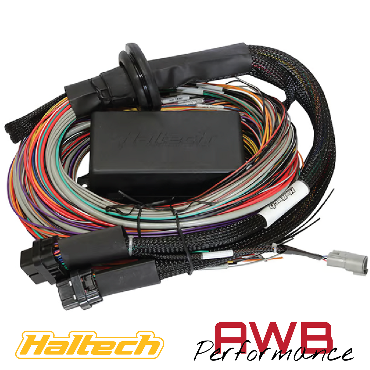 Haltech Elite 1500 + Premium Universal Wire-in Harness Kit 5m - HT-150905
