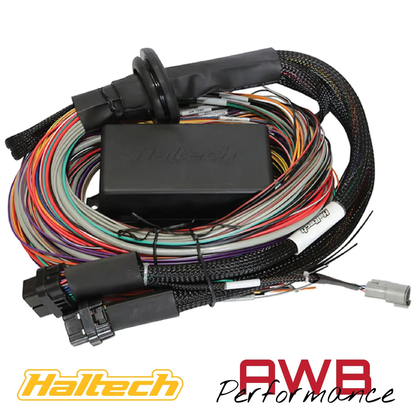 Haltech Elite 1500 + Premium Universal Wire-in Harness Kit 5m - HT-150905 Haltech
