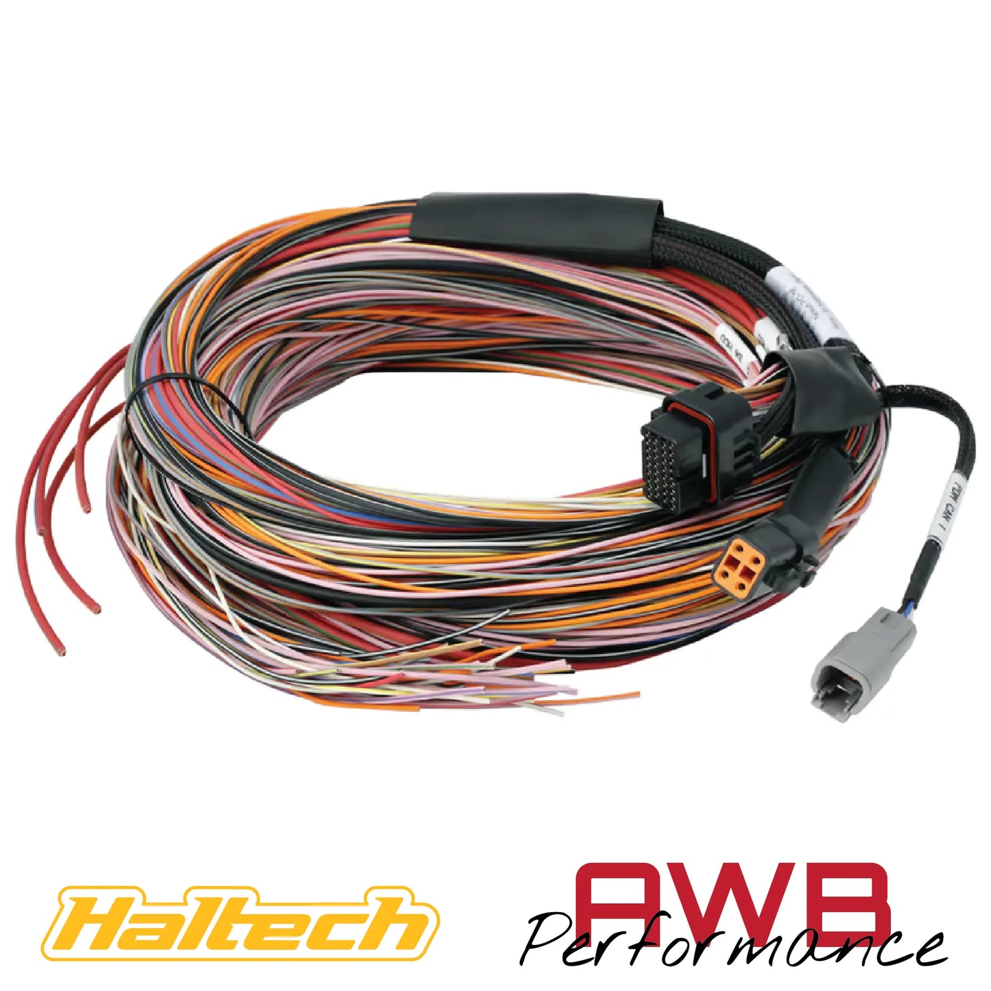 Haltech Nexus PD16 Flying Lead Harness - 5M / 16FT - HT-188000 Haltech