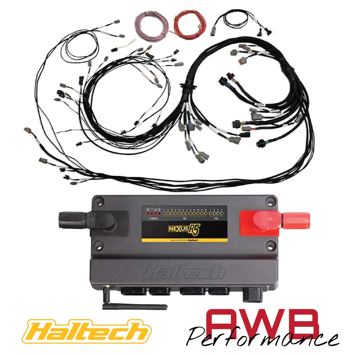 Haltech Nexus R5 VCU + Universal V8 Terminated Harness - HT-195400 Haltech
