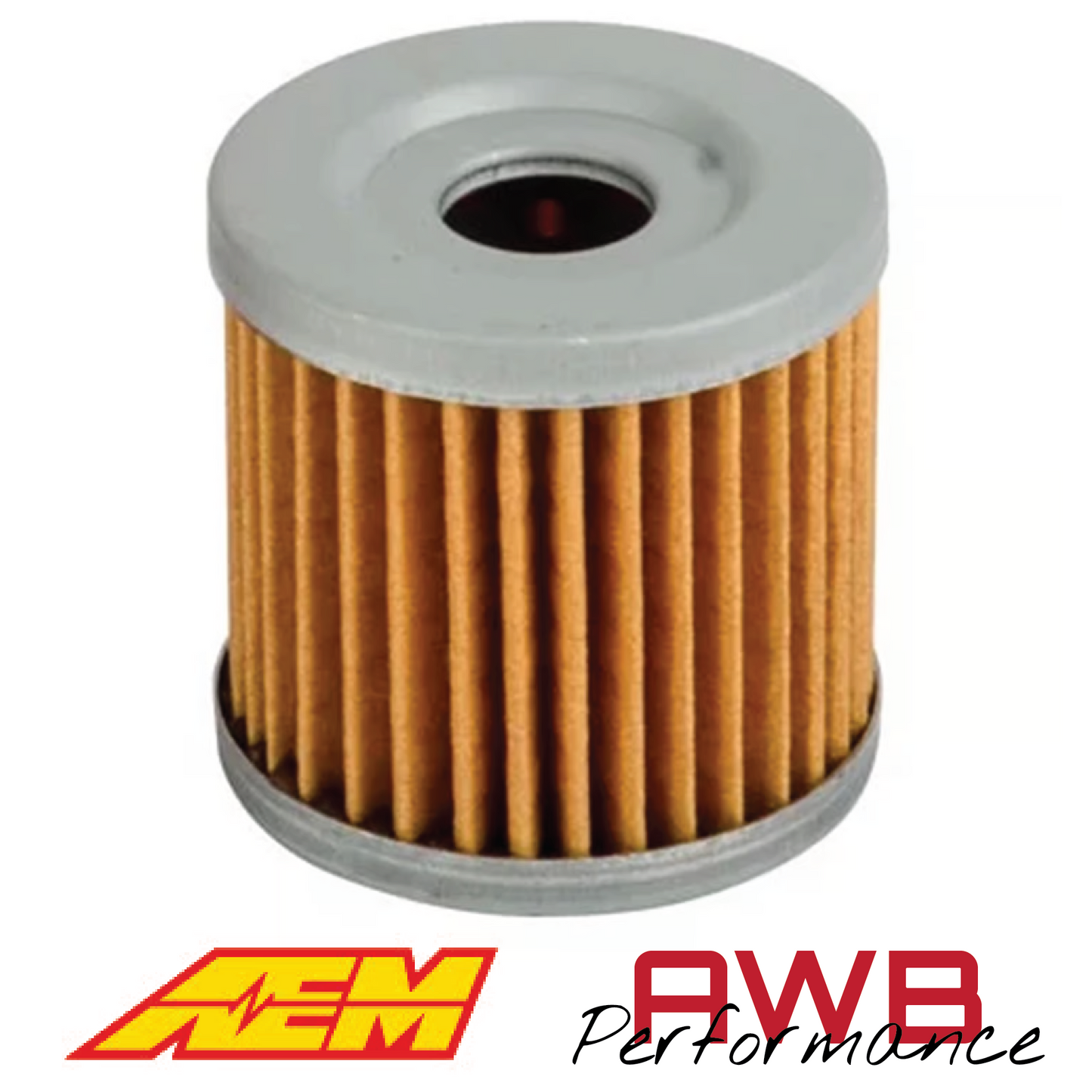 AEM High Volume Fuel Filter Element - 25-203