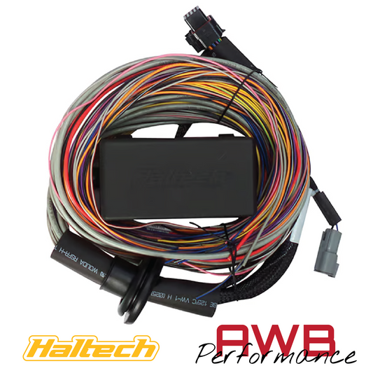 Haltech Elite 750 Premium Universal Wire-in Harness 2.5m - HT-140604