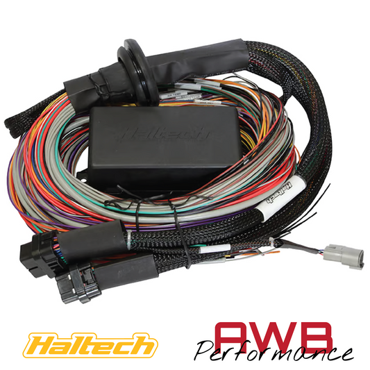 Haltech Elite 1500 Premium Universal Wire-in Harness 2.5m - HT-140904