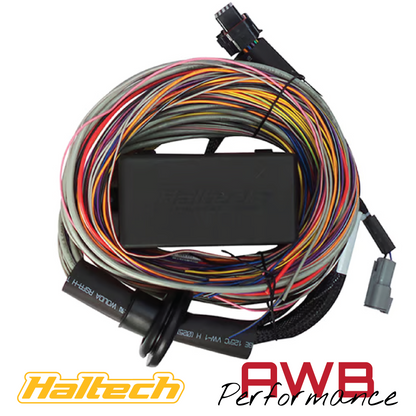 Haltech Elite 550 ECU + Premium Universal Wire-in Harness Kit 2.5m - HT-150404