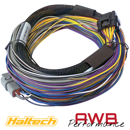 Haltech Elite 750 ECU + Basic Universal Wire-in Harness Kit 2.5m - HT-150602