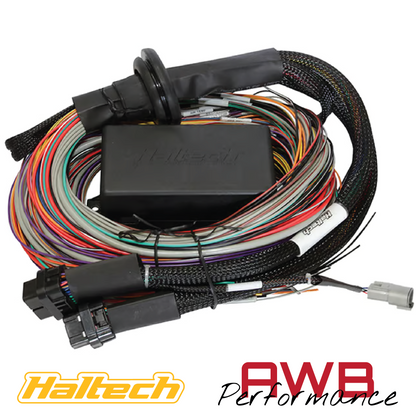 Haltech Elite 1500 + Premium Universal Wire-in Harness Kit 5m - HT-150905