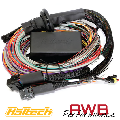 Haltech Elite 2500 ECU + Premium Universal Wire-in Harness Kit 5m - HT-151305