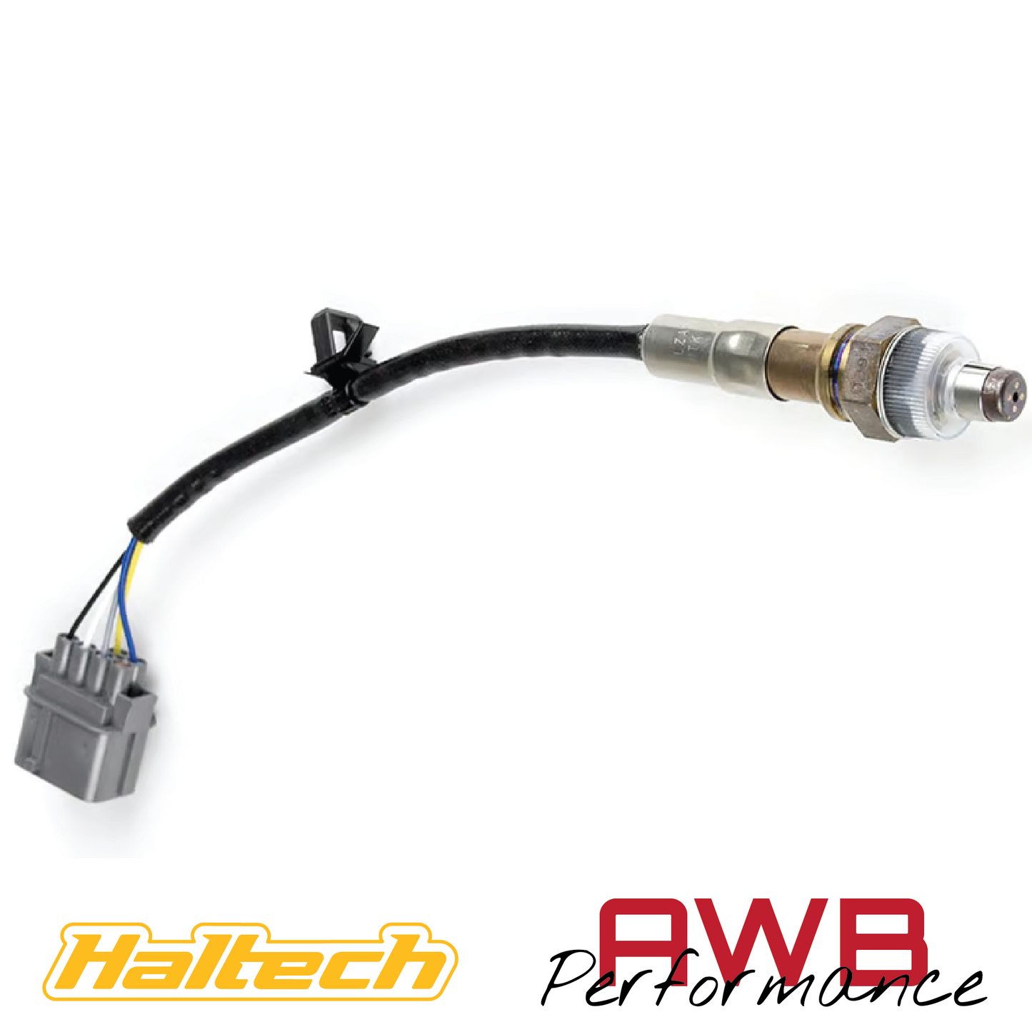 Haltech WB1 NTK - Single Channel CAN O2 Wideband Controller Kit - HT-159978