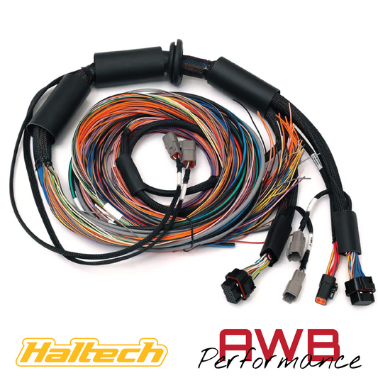 Haltech Nexus R3 Universal Wire-in Harness 2.5m - HT-183200