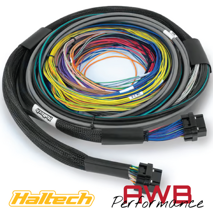 Haltech Nexus S2 ECU + Universal Wire-in Harness - 2.5m (8') - HT-212200