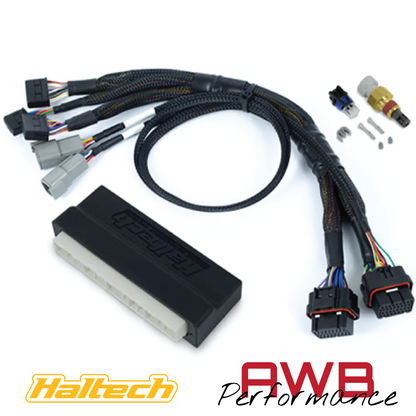 Haltech Nexus S2 Plug 'n' Play Adapter Harness Kit - Honda DC5 05-06 - HT-212301
