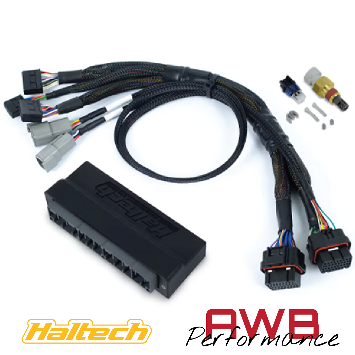 Haltech Nexus S2 Plug & Play Adapter Kit - Honda S2000 (AP1 / AP2 ) - HT-212314