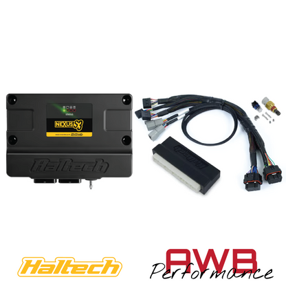 Haltech Nexus S3 Plug 'n' Play Adapter Harness Kit - Honda EP3 - HT-213302