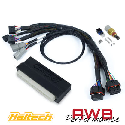 Haltech Nexus S3 Plug 'n' Play Adapter Harness Kit - Honda EP3 - HT-213302