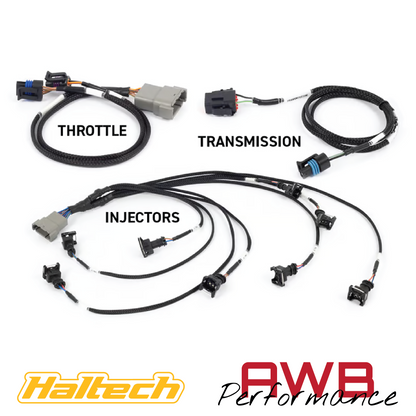 Haltech Nexus LS Rebel + Terminated Harness (Suits Gen IV LS) - HT-220204